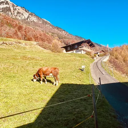 Luna - Alpine By Brienz Niederried bei Interlaken