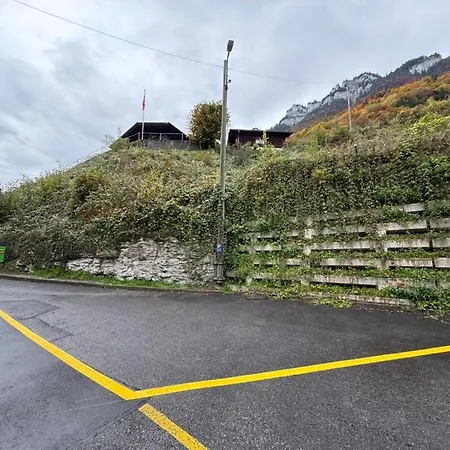 Alpine - Direct & Mountain View