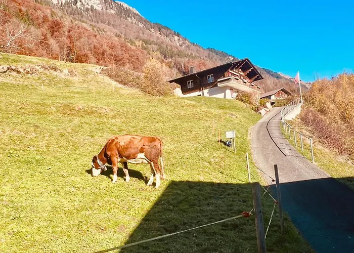 Alpine - Direct & Mountain View Niederried bei Interlaken