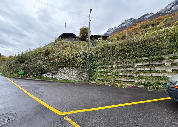 Alpine - Direct & Mountain View